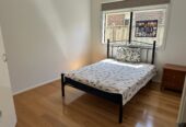 Room available for rent in Lyndhurst